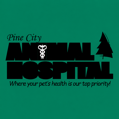 Pine City Animal Hospital